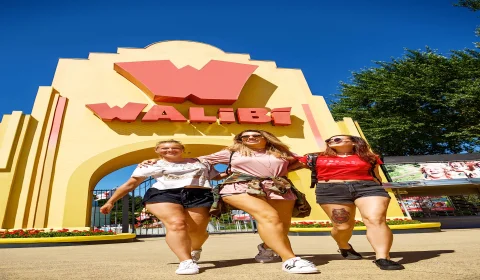Bevrijdingsdag 2025 im Walibi Holland 🎉