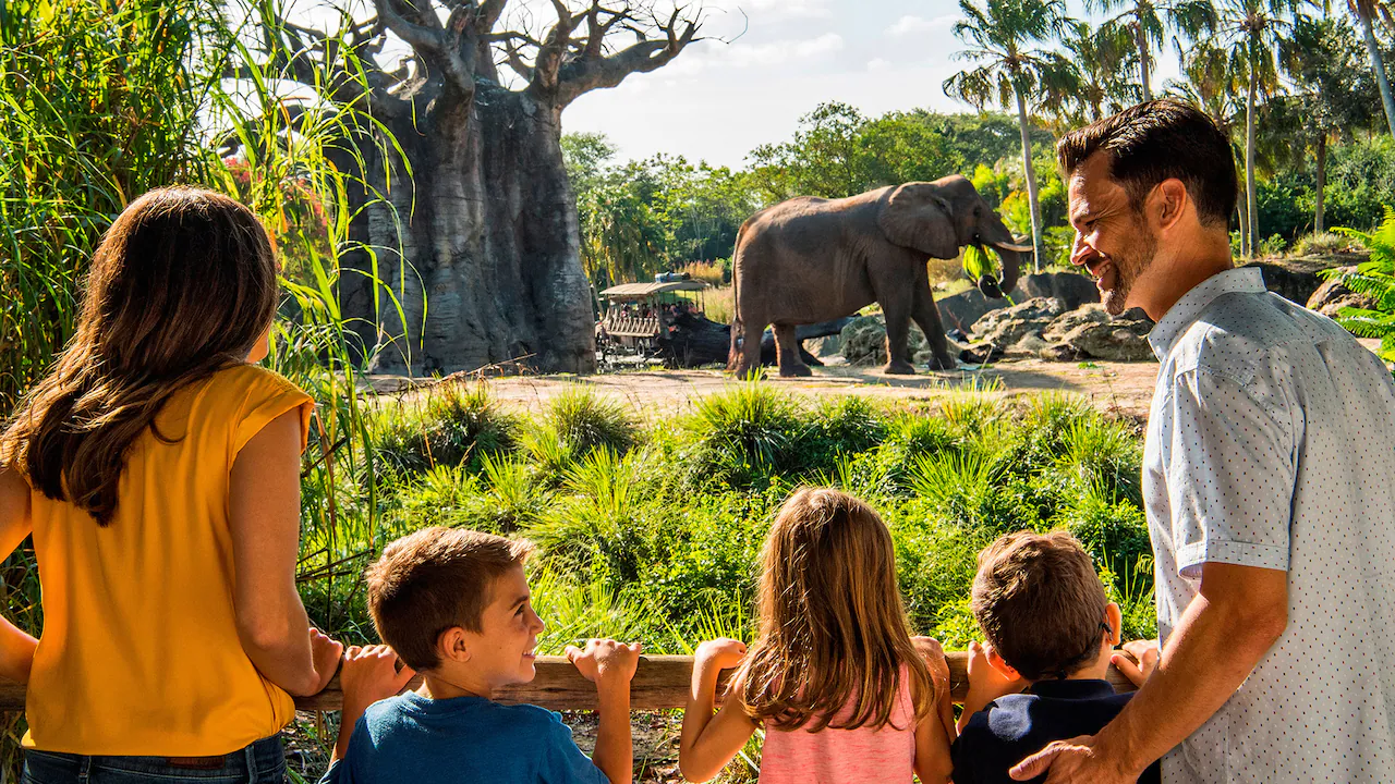 Animal Kingdom